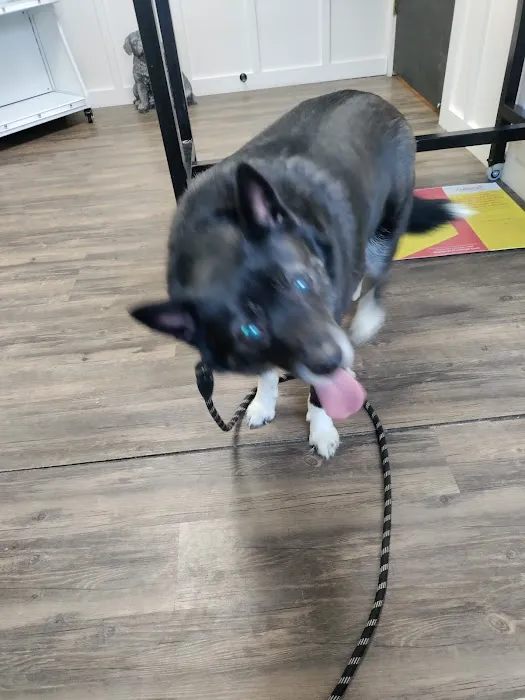 Audrain Veterinary Clinic Picture 8