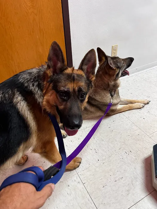 Columbia Animal Hospital Picture 4