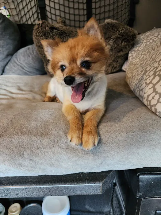 Columbia Animal Hospital Picture 6