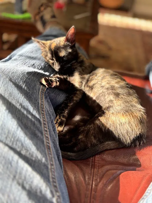 Columbia Animal Hospital Picture 7