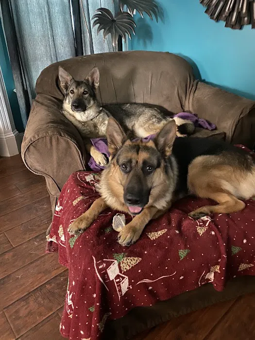 Columbia Animal Hospital Picture 5