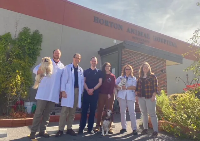 Horton Animal Hospital-Northeast Picture 6
