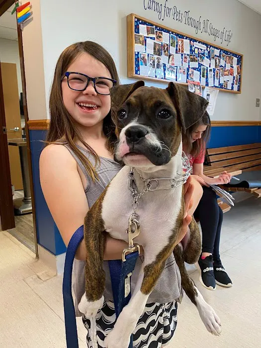 Horton Animal Hospital-Northeast Picture 5