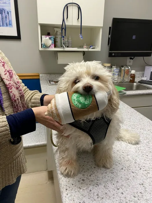 Horton Animal Hospital-Northeast Picture 8