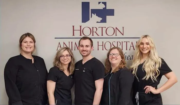 Horton Animal Hospital-Northeast Picture 10