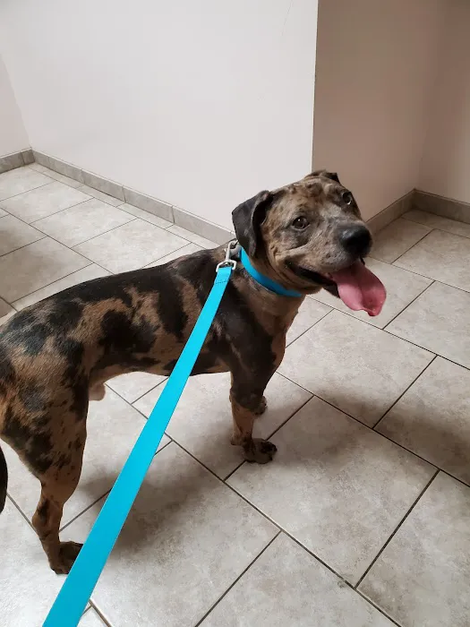 Warrenton Vet Clinic Picture 1