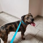 Warrenton Vet Clinic