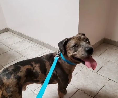 Warrenton Vet Clinic