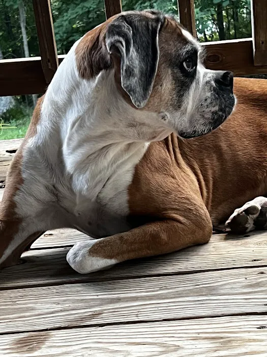 Warrenton Vet Clinic Picture 2