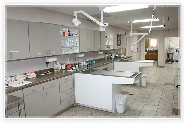 Warrenton Vet Clinic Picture 5