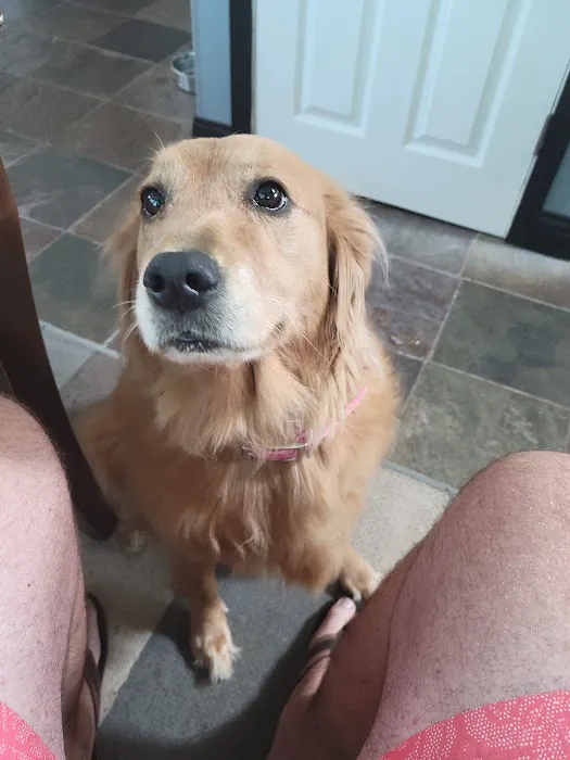 Warrenton Vet Clinic Picture 7