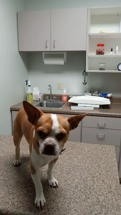 Warrenton Vet Clinic Picture 4