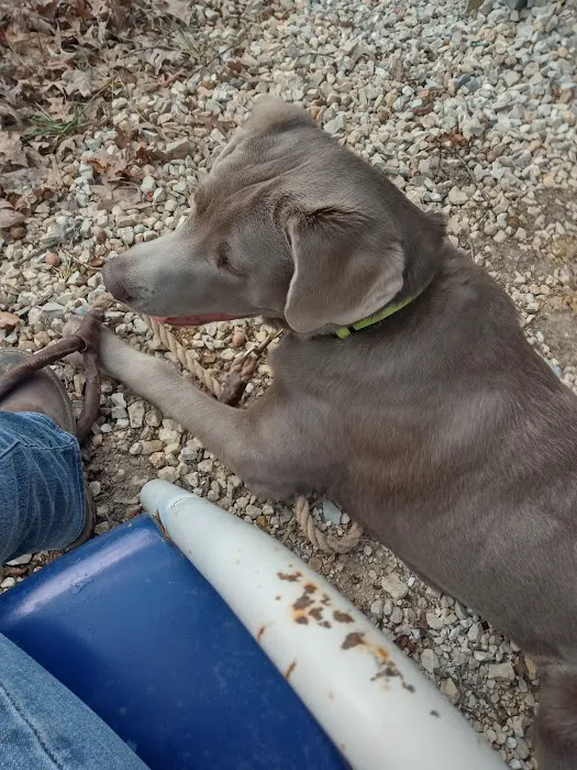 Warrenton Vet Clinic Picture 10