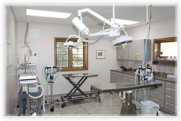 Warrenton Vet Clinic Picture 8