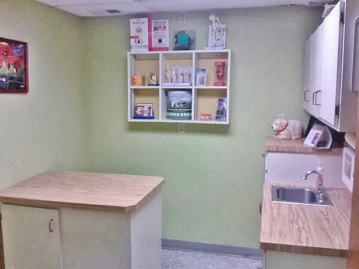 Hermann Companion Animal Hospital Picture 3