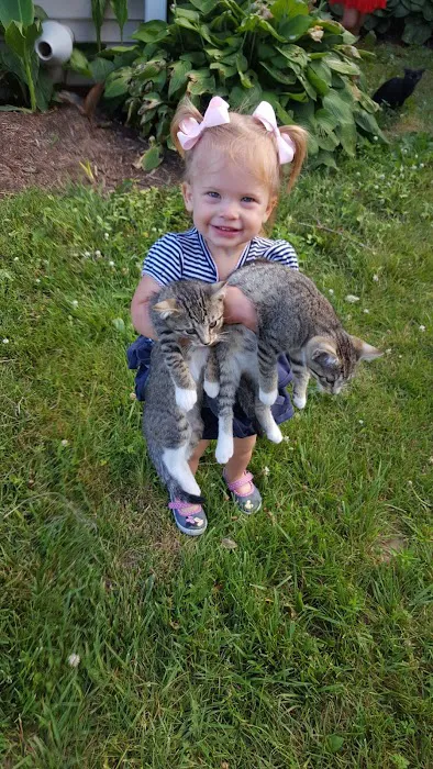 Hermann Companion Animal Hospital Picture 4