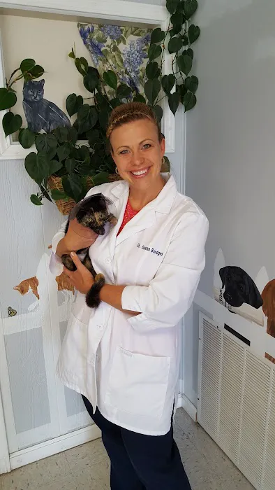 Hermann Companion Animal Hospital Picture 10
