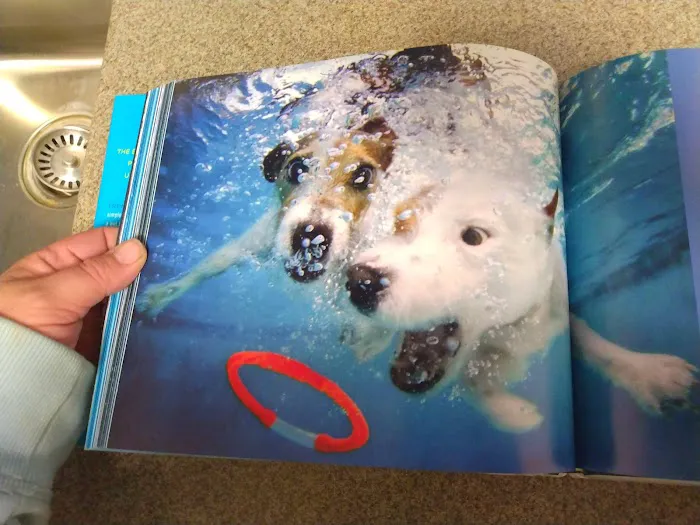 Hermann Veterinary Clinic Picture 4