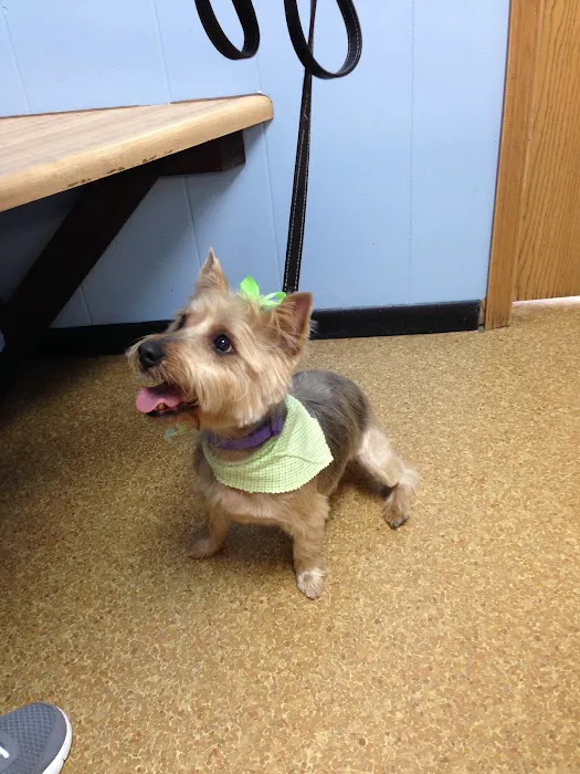 Wright City Veterinary Clinic Picture 1