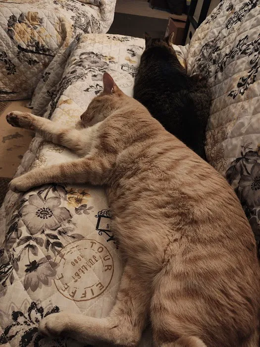 Wright City Veterinary Clinic Picture 2