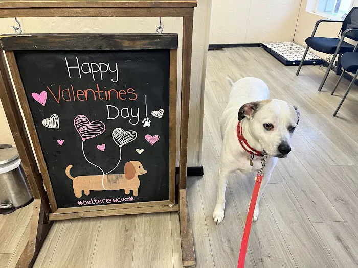 Wright City Veterinary Clinic Picture 3