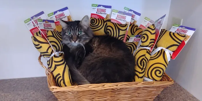 Wright City Veterinary Clinic Picture 8