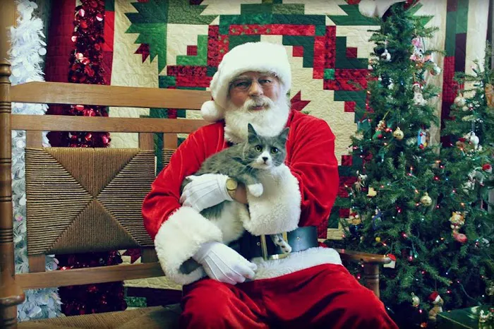 Wright City Veterinary Clinic Picture 6