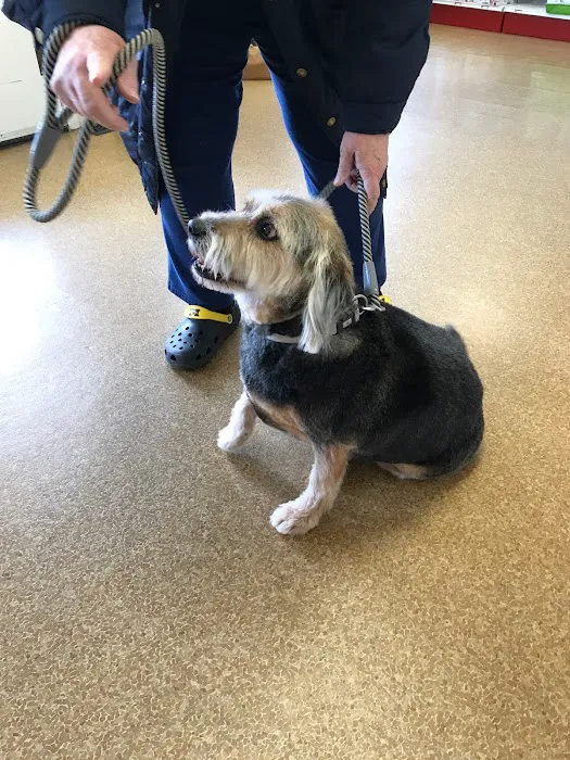 Wright City Veterinary Clinic Picture 10