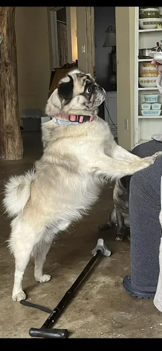 Falls Vet Care Picture 10