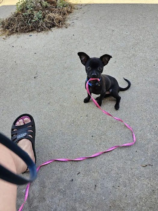 Lincoln County Animal Hospital Picture 1