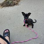 Lincoln County Animal Hospital