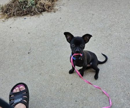 Lincoln County Animal Hospital