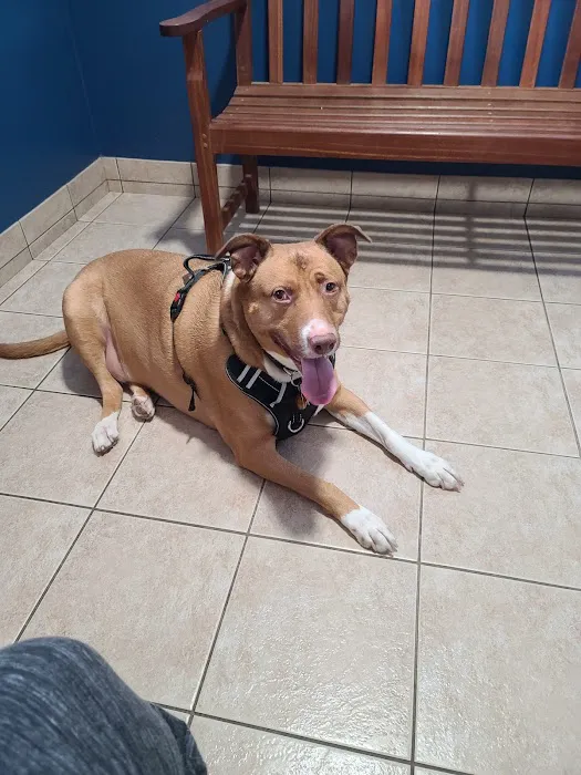 Lincoln County Animal Hospital Picture 2