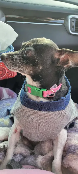 Lincoln County Animal Hospital Picture 3