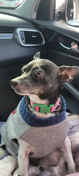 Lincoln County Animal Hospital Picture 4