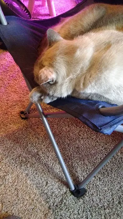 Lincoln County Animal Hospital Picture 7