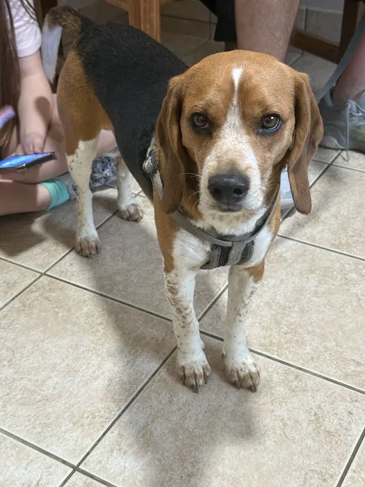 Lincoln County Animal Hospital Picture 6