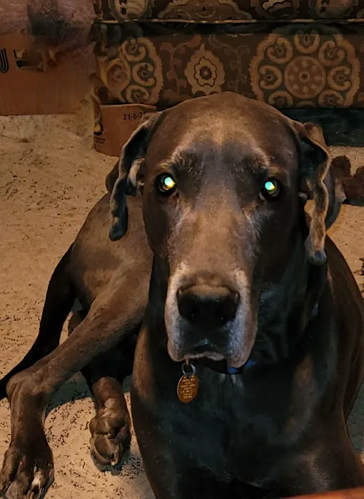 Lincoln County Animal Hospital Picture 9