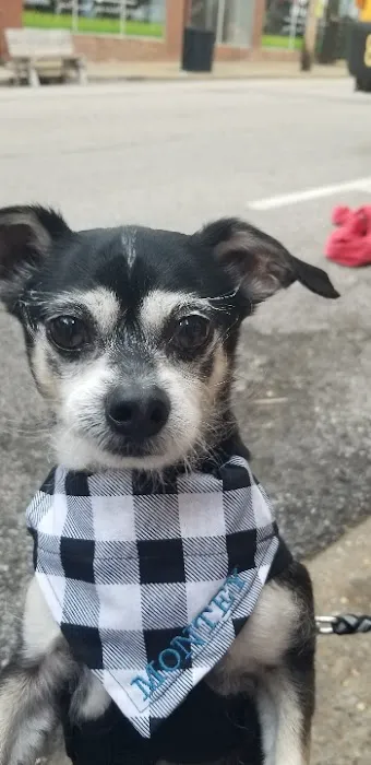 New Haven Veterinary Hospital Picture 7