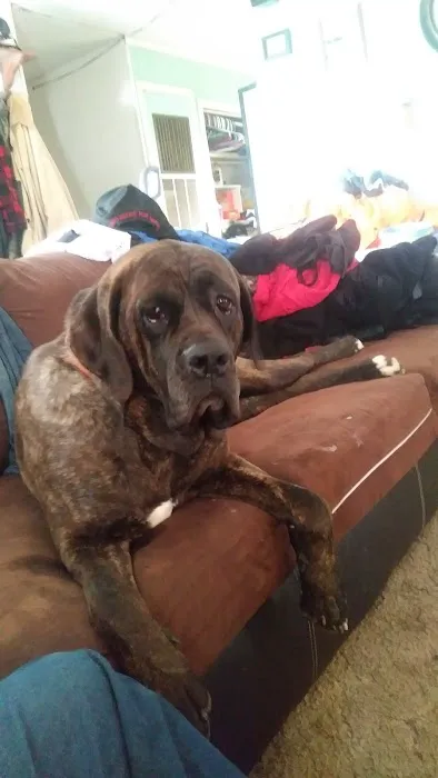 New Haven Veterinary Hospital Picture 9