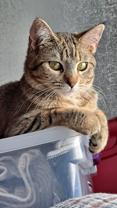 New Haven Veterinary Hospital Picture 6