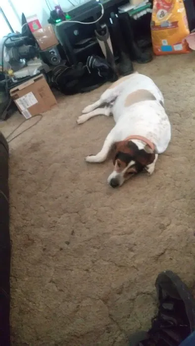 New Haven Veterinary Hospital Picture 8