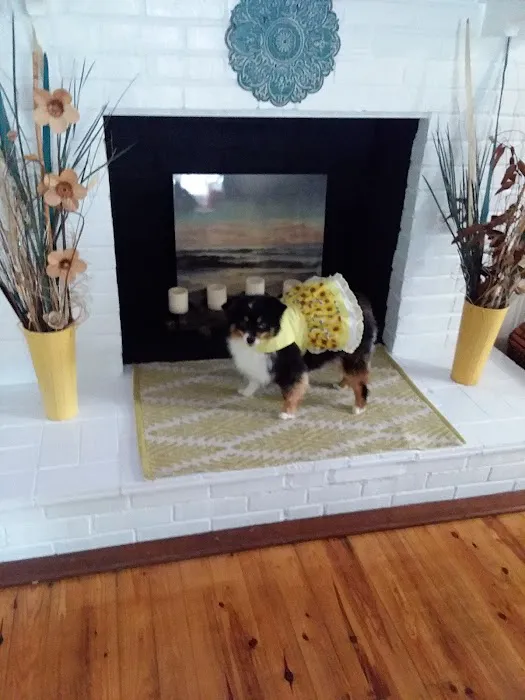 Animal Clinic-Stewart County Picture 6