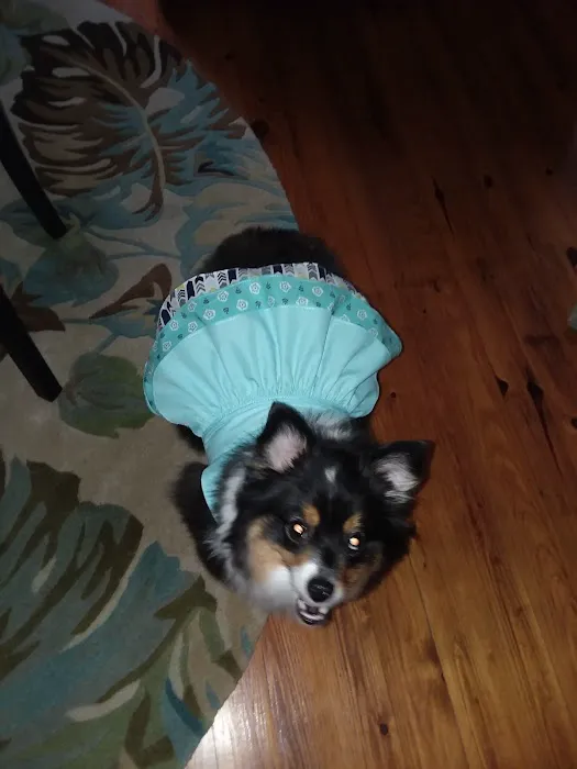 Animal Clinic-Stewart County Picture 3