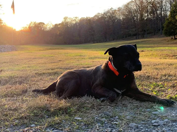 Animal Clinic-Stewart County Picture 4