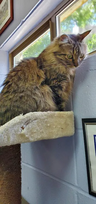 Animal Clinic-Stewart County Picture 8