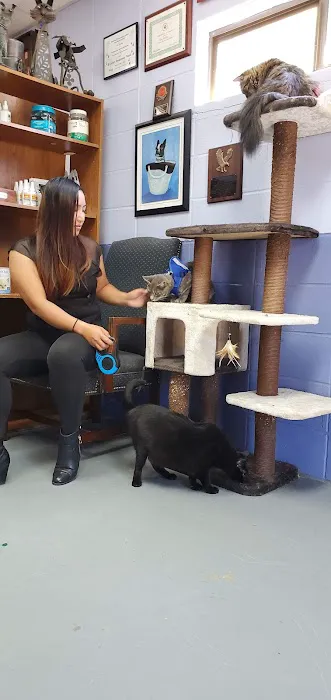 Animal Clinic-Stewart County Picture 7