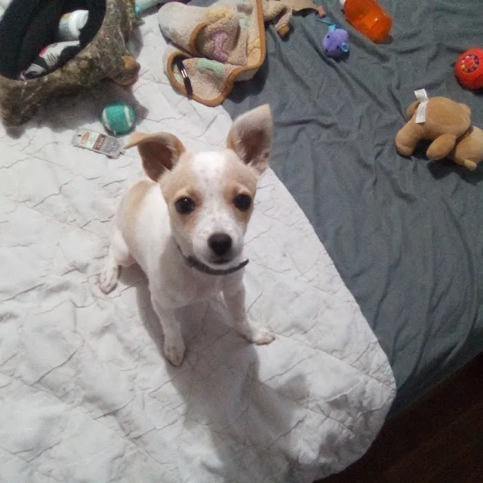 Hillside Veterinary Clinic Picture 5