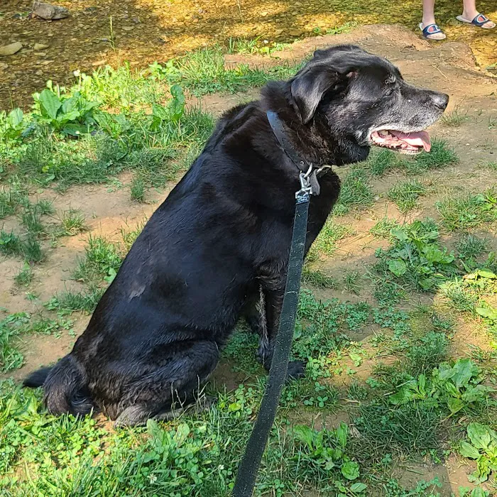 North Stewart Veterinary Clinic Picture 2