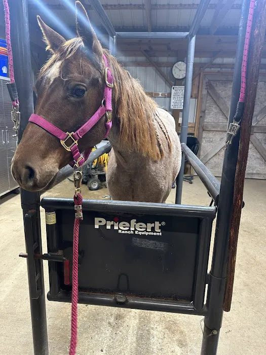 North Stewart Veterinary Clinic Picture 4